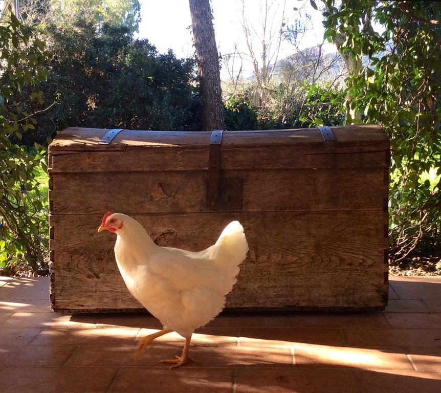 At Home In Maremma Istia dʼOmbrone Zewnętrze zdjęcie