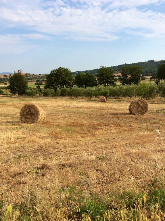 At Home In Maremma Istia dʼOmbrone Zewnętrze zdjęcie