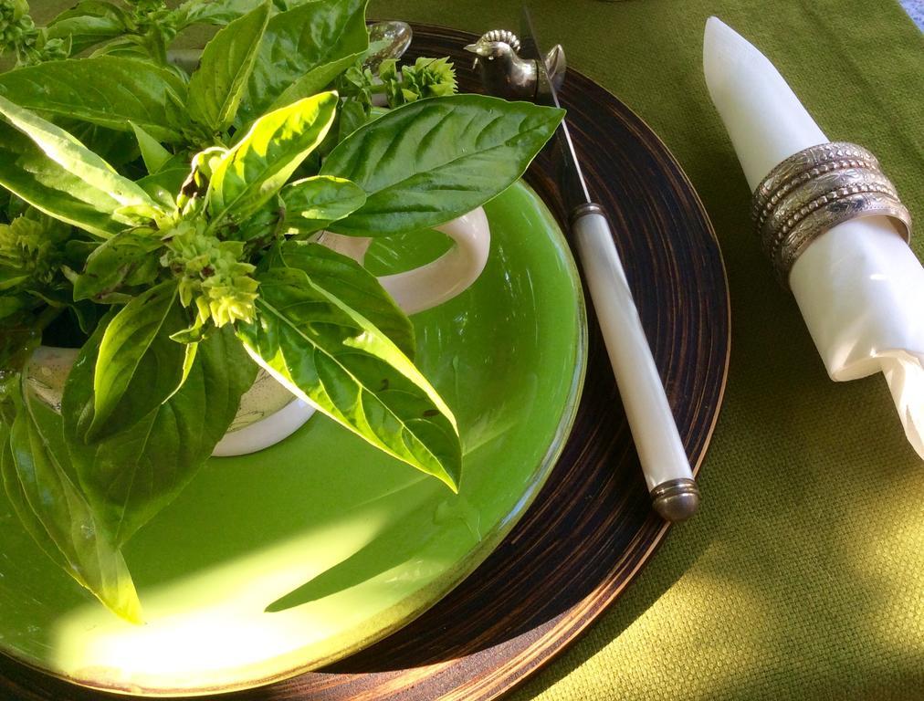 At Home In Maremma Istia dʼOmbrone Zewnętrze zdjęcie