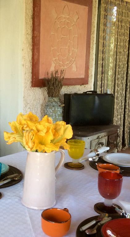 At Home In Maremma Istia dʼOmbrone Zewnętrze zdjęcie