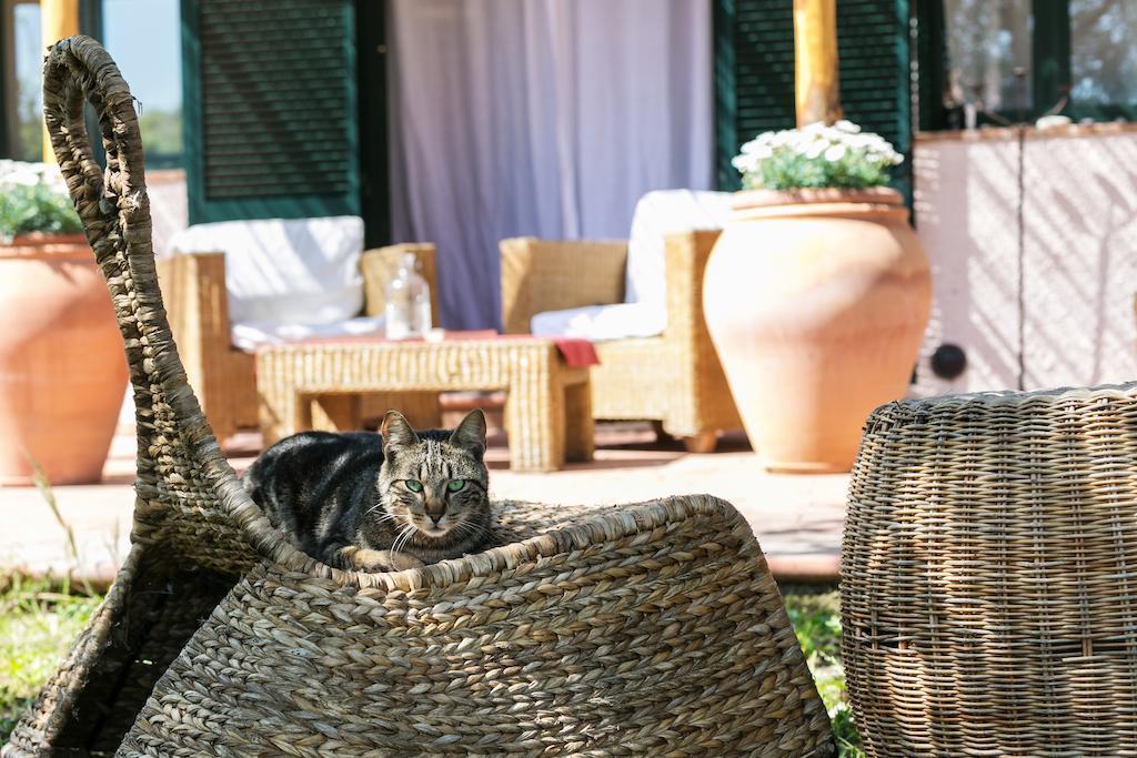 At Home In Maremma Istia dʼOmbrone Pokój zdjęcie