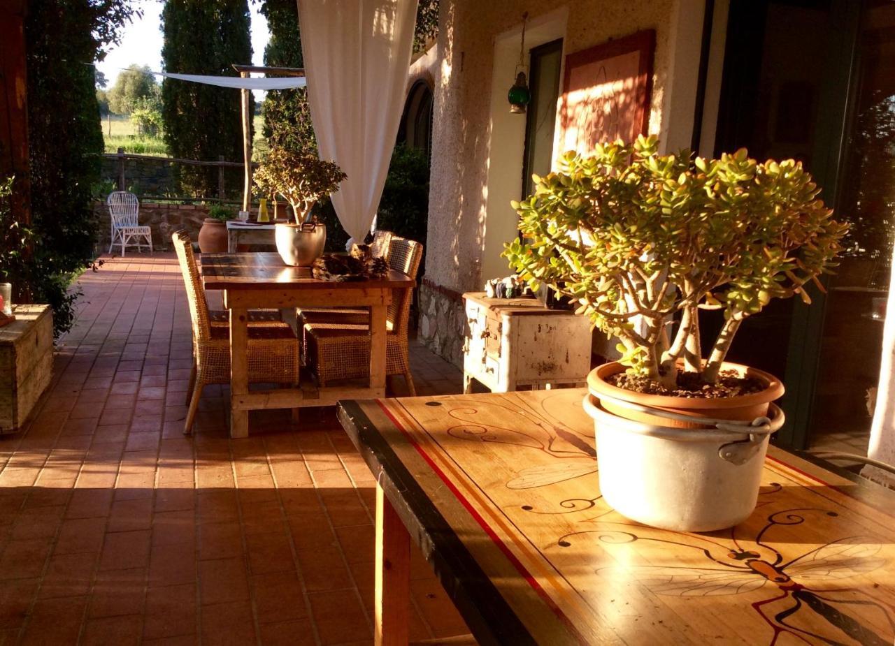 At Home In Maremma Istia dʼOmbrone Zewnętrze zdjęcie